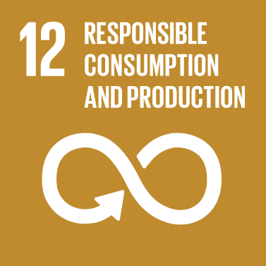 Consumption logo by Ensure sustainable consumption and production patterns