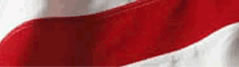 USA Flag